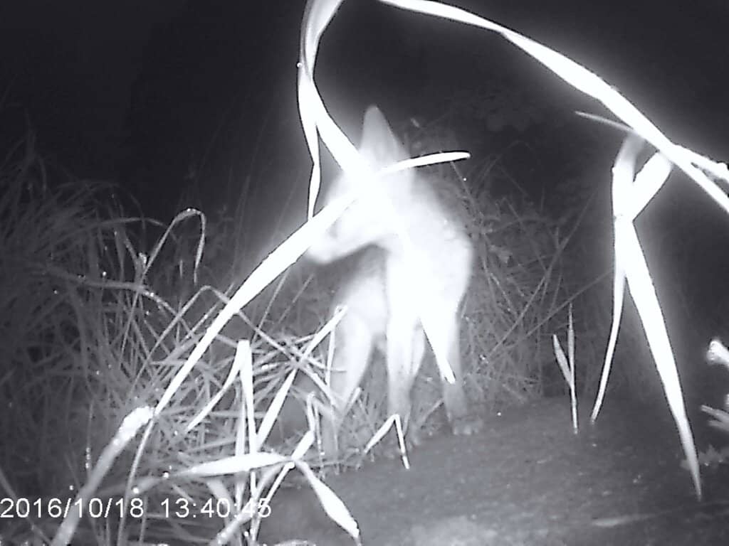 Ancient Christian Burial Site