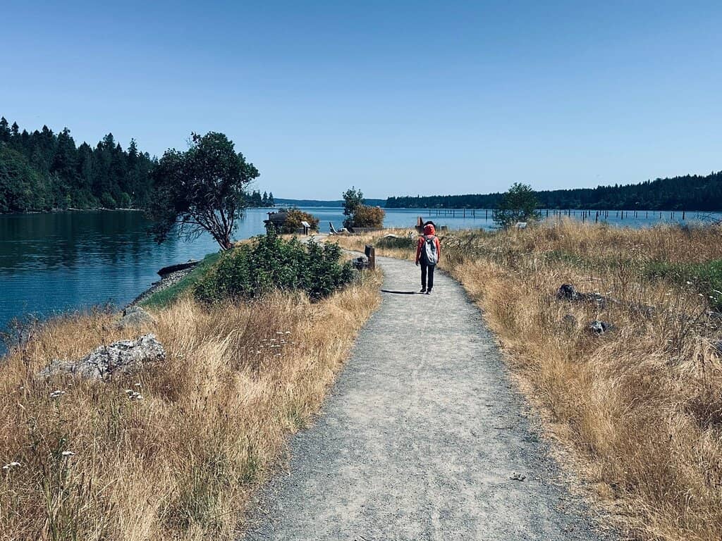 Heron Rookery Chorus
