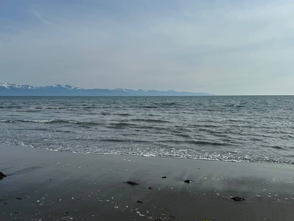 Sea Star Discoveries