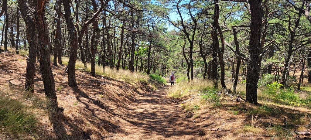 Cape Cod Bay Beach Walk