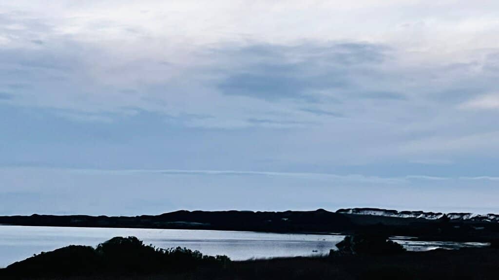 Untouched Coastal Dunes