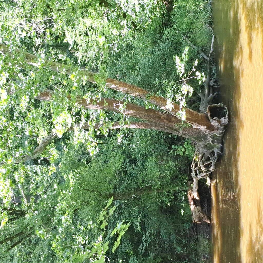 Vertical photo