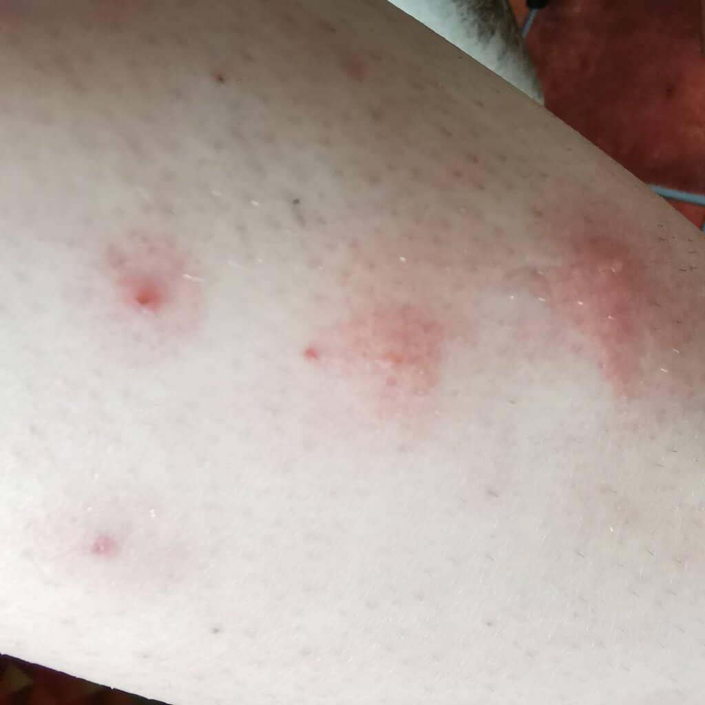 Culbin Forest Trails