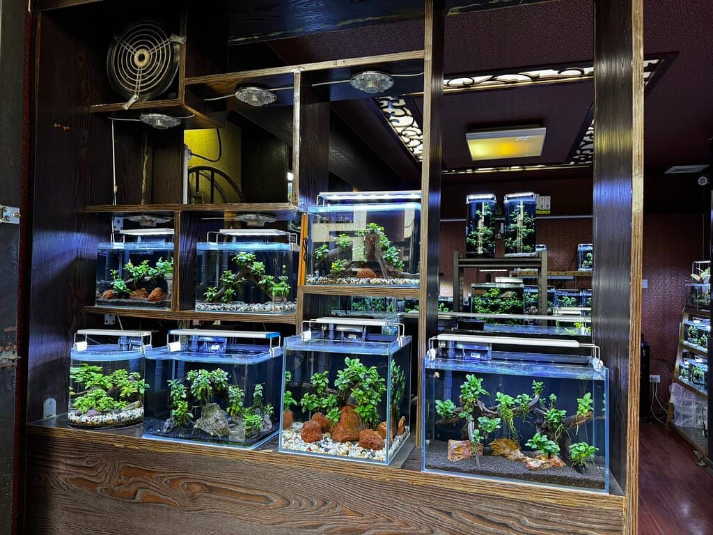 Gardening Essentials