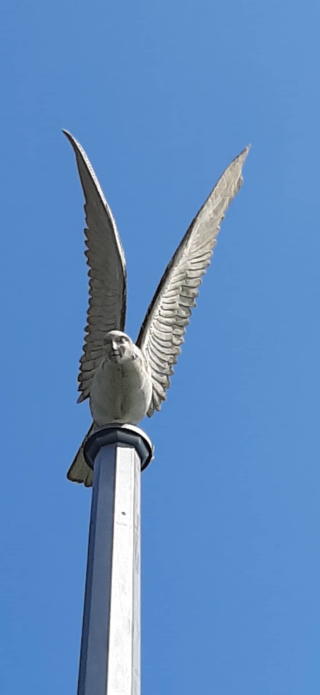 Relaxing Pier Ambiance