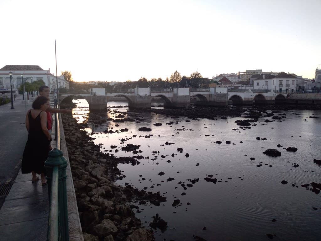 Vibrant Produce Displays