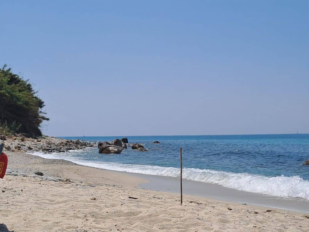 The Iconic Watchtower