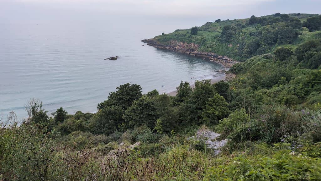 Distant Wind Farm Views