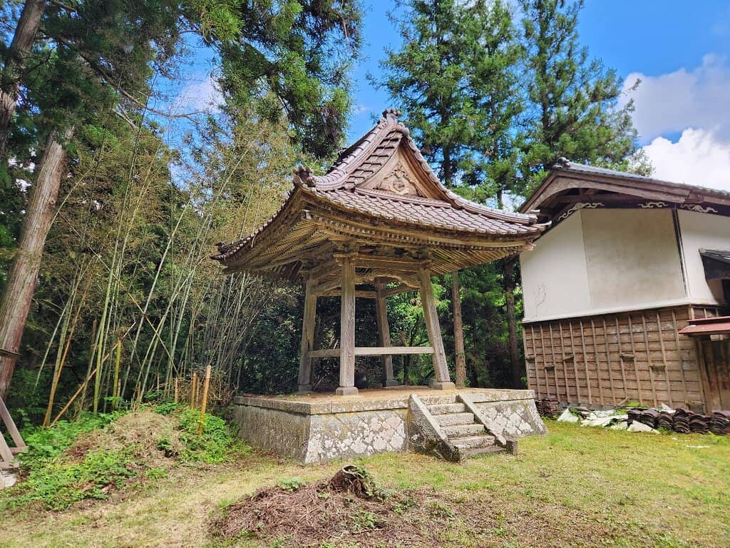 Autumn Foliage Spectacle