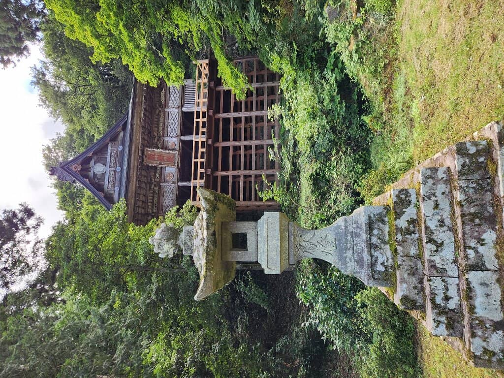 Majestic Cedar-Lined Entrance