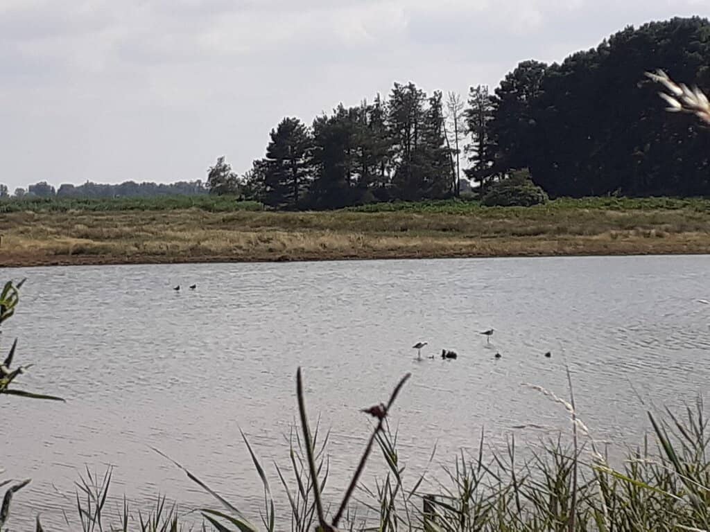 Children's Activities