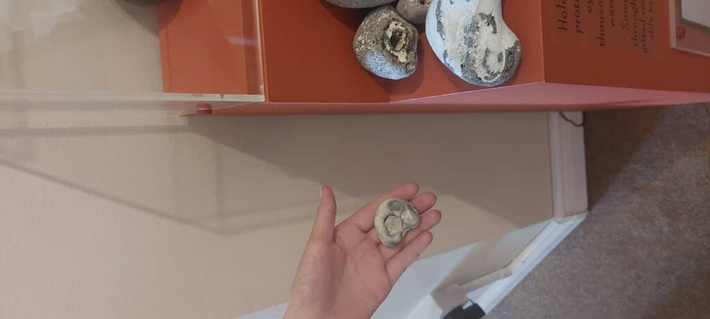 Seven Sisters Cliffs