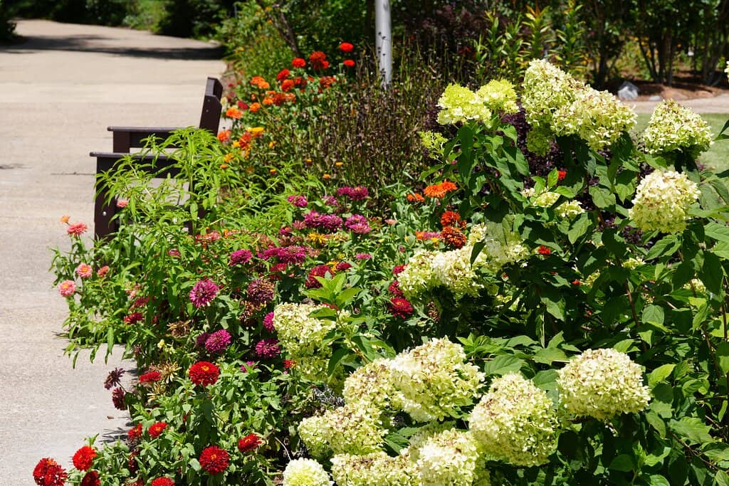 Children's Zoo & Playground