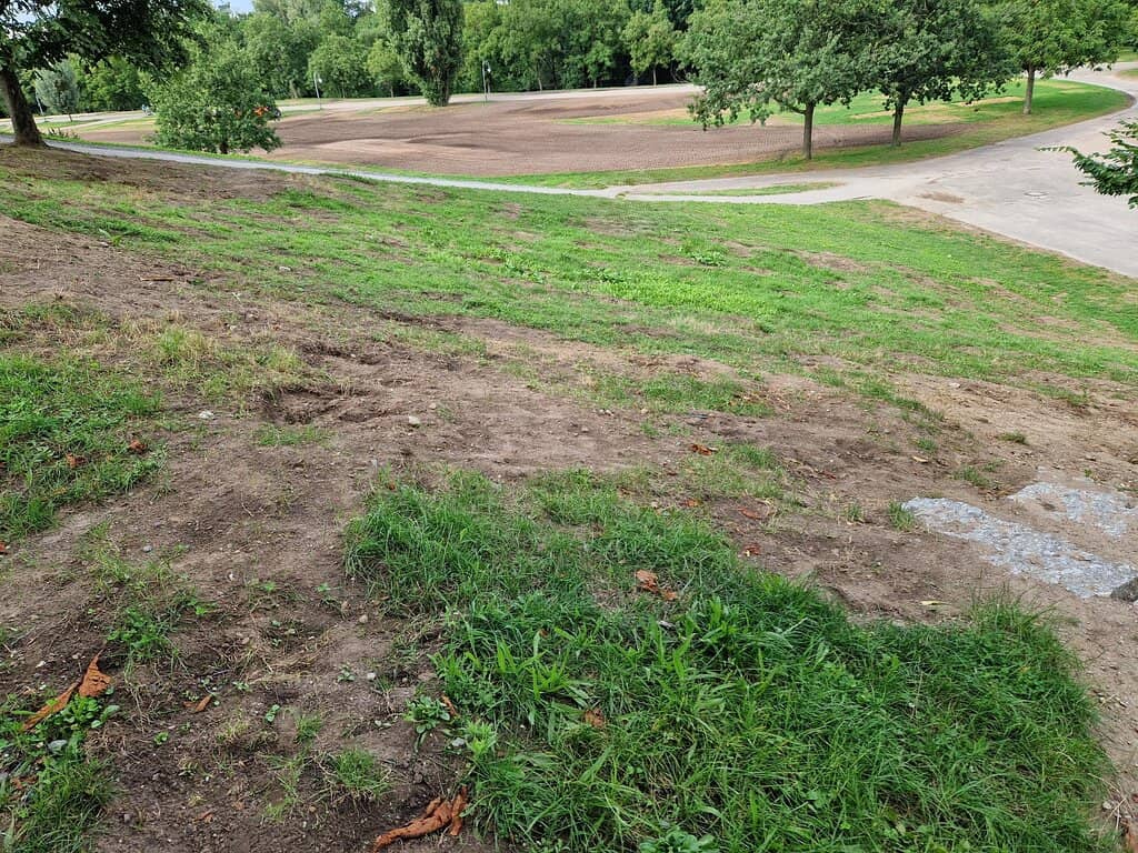 Sports and Recreation Areas