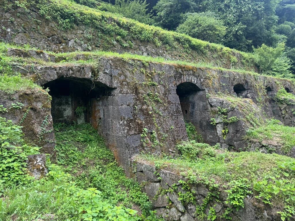 Overgrown Trolley Track