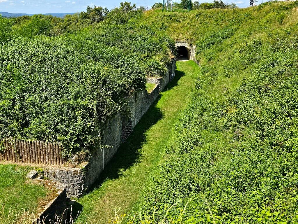 Panoramic Regional Views