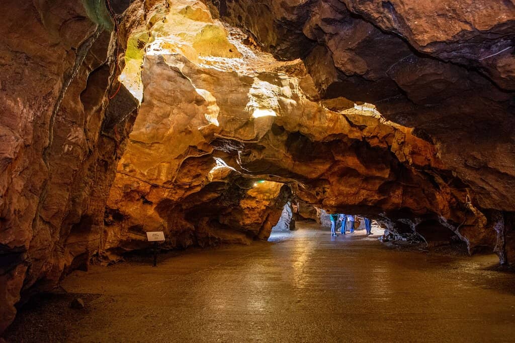 Gough's Cave