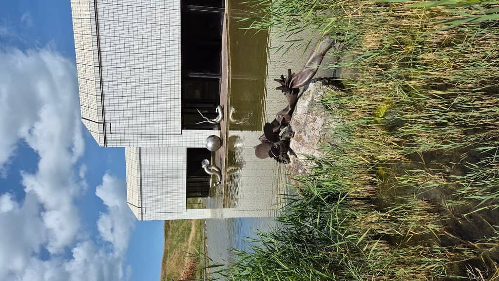 Diverse Sculptural Art