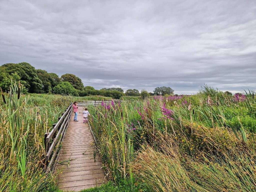 Scenic Walking Trails