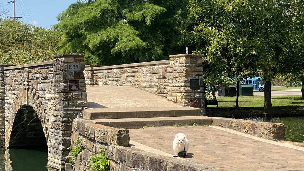 Accessible Playground