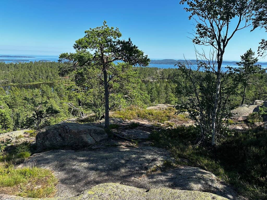 Diverse Hiking Trails