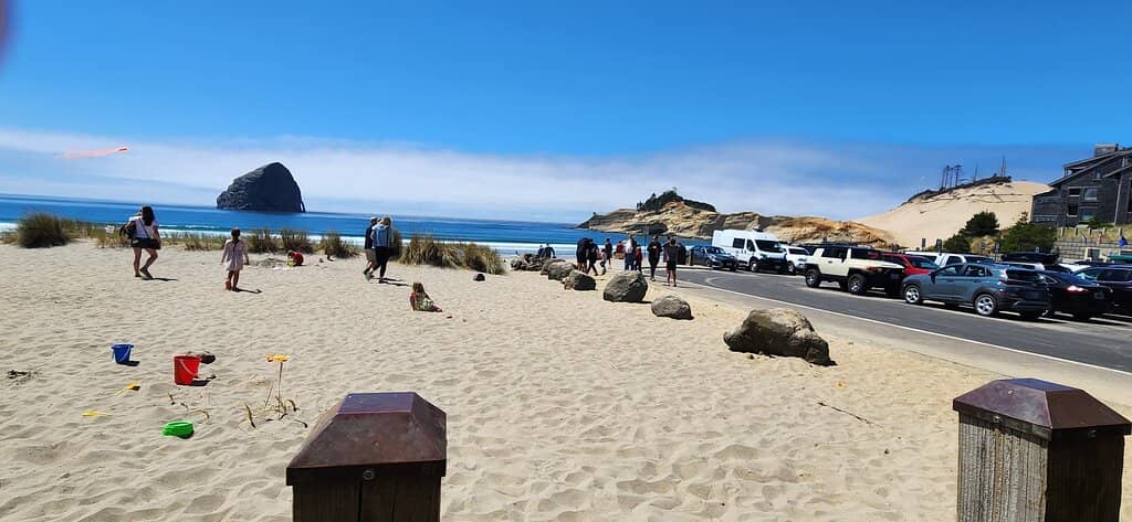 Locally Sourced Burgers