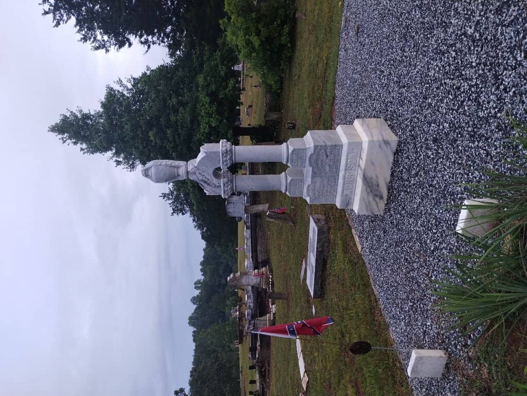 The Daffodil Project