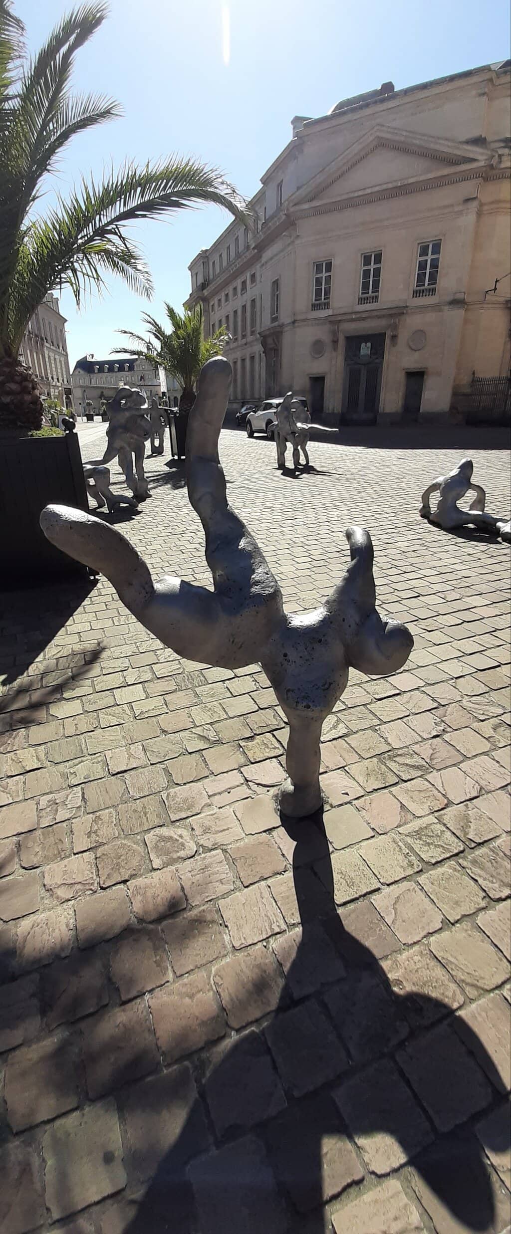 Local Cheese Selection