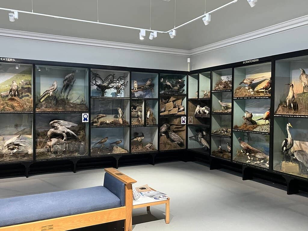 Local History & Transport