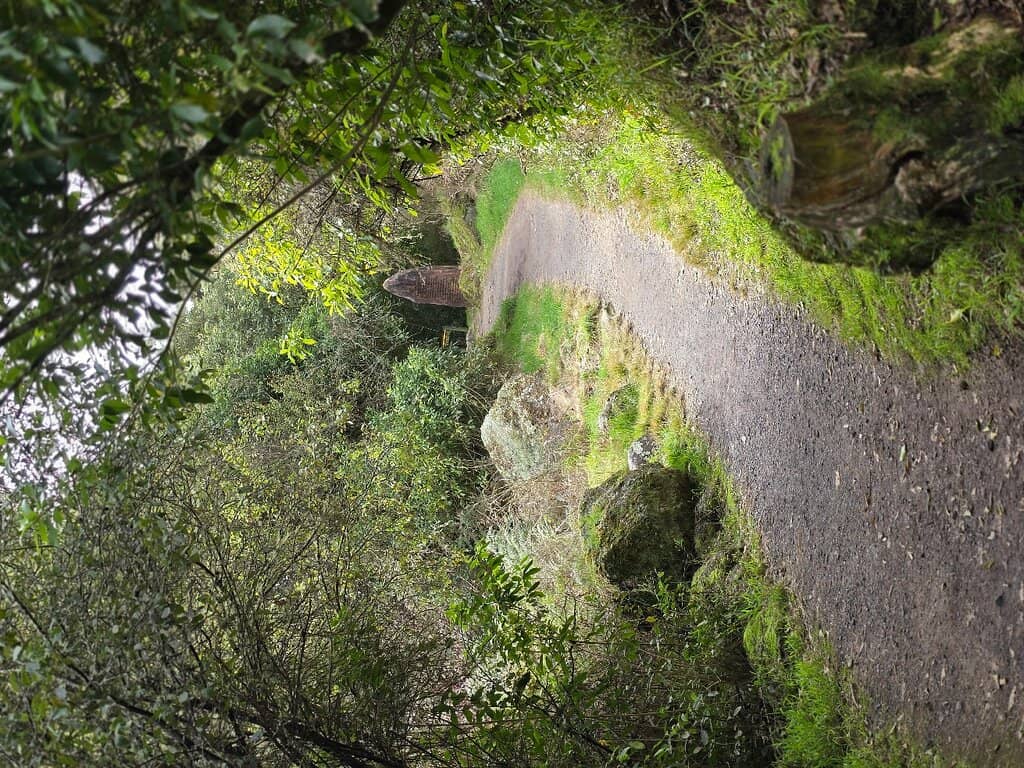 Top Viewpoint