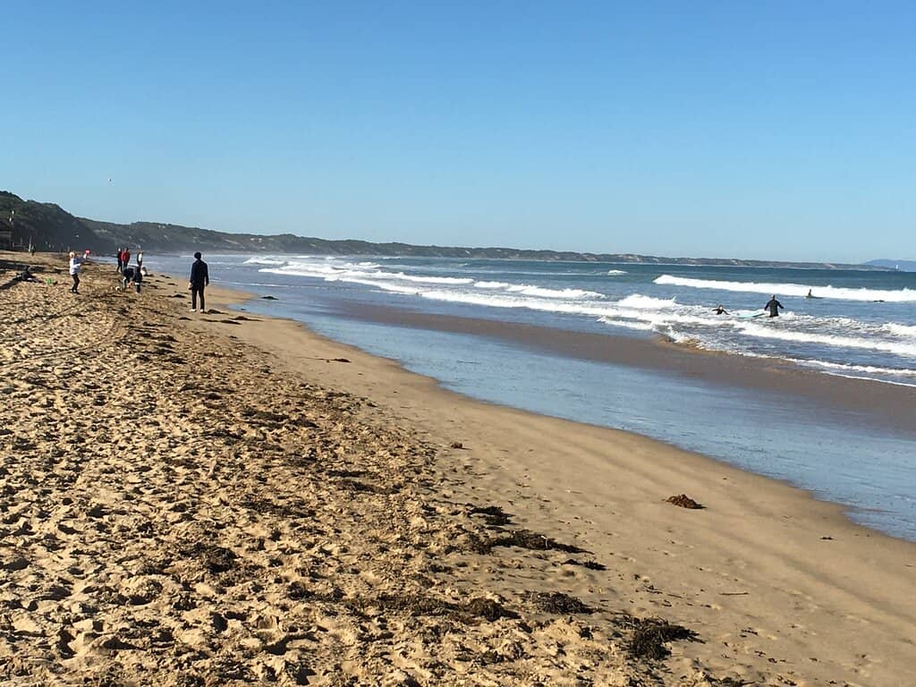 Rock Pool Exploration