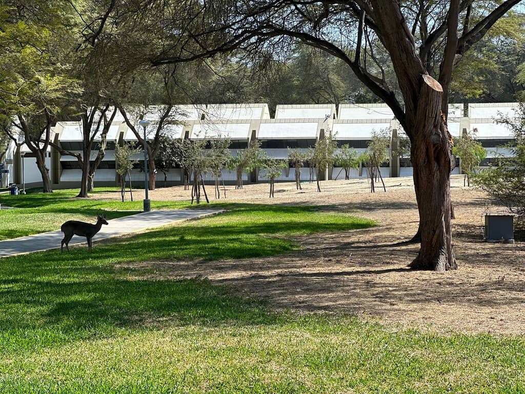 Modern Architectural Designs