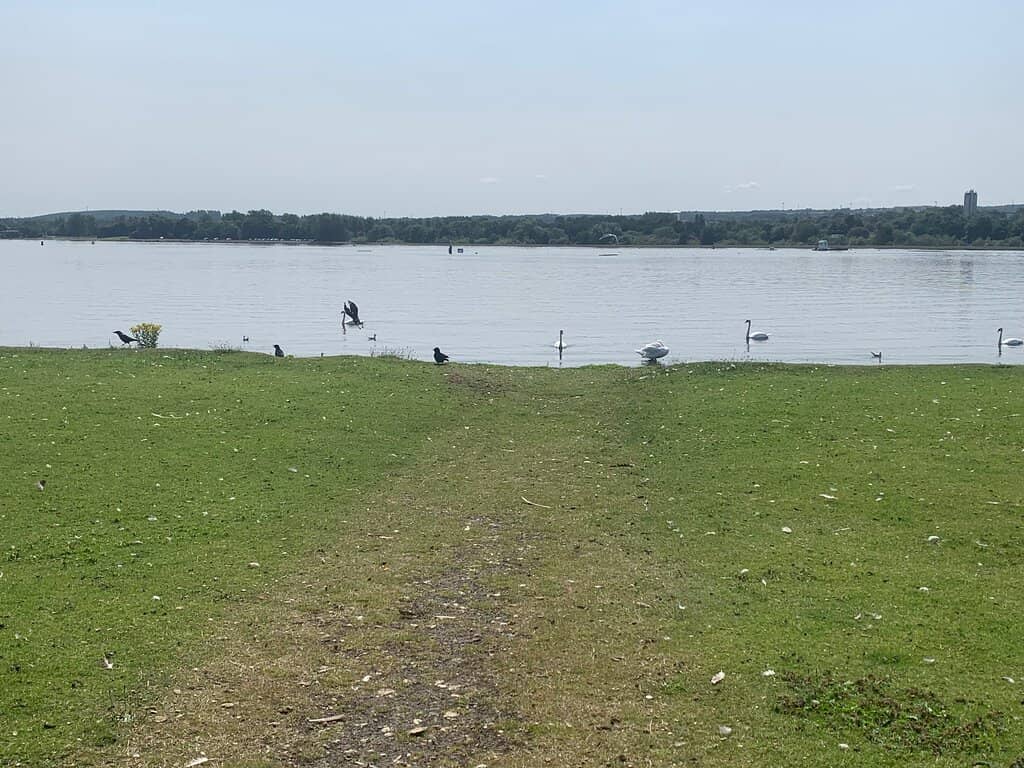 Children's Play Areas