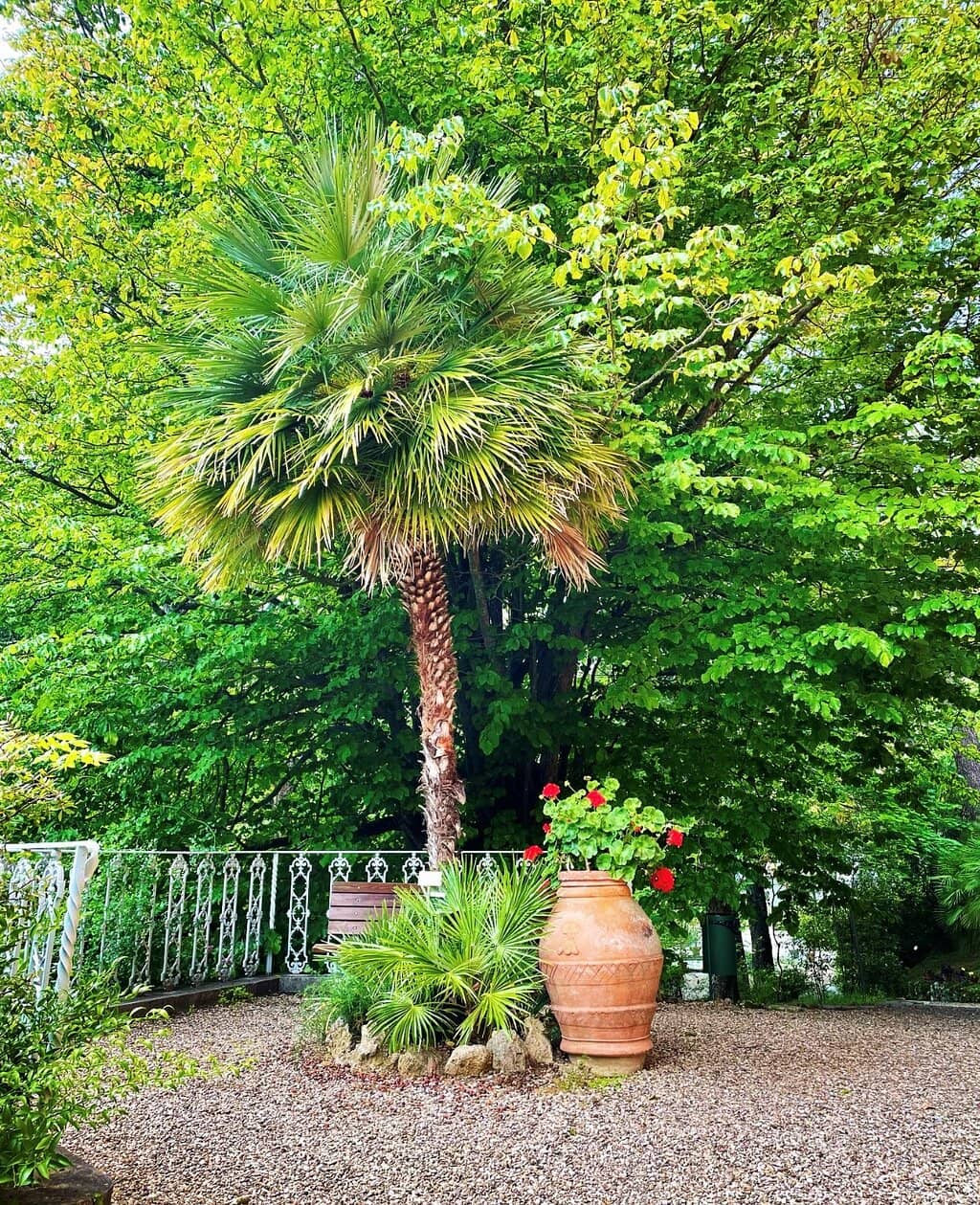 Collection of Exotic Plants