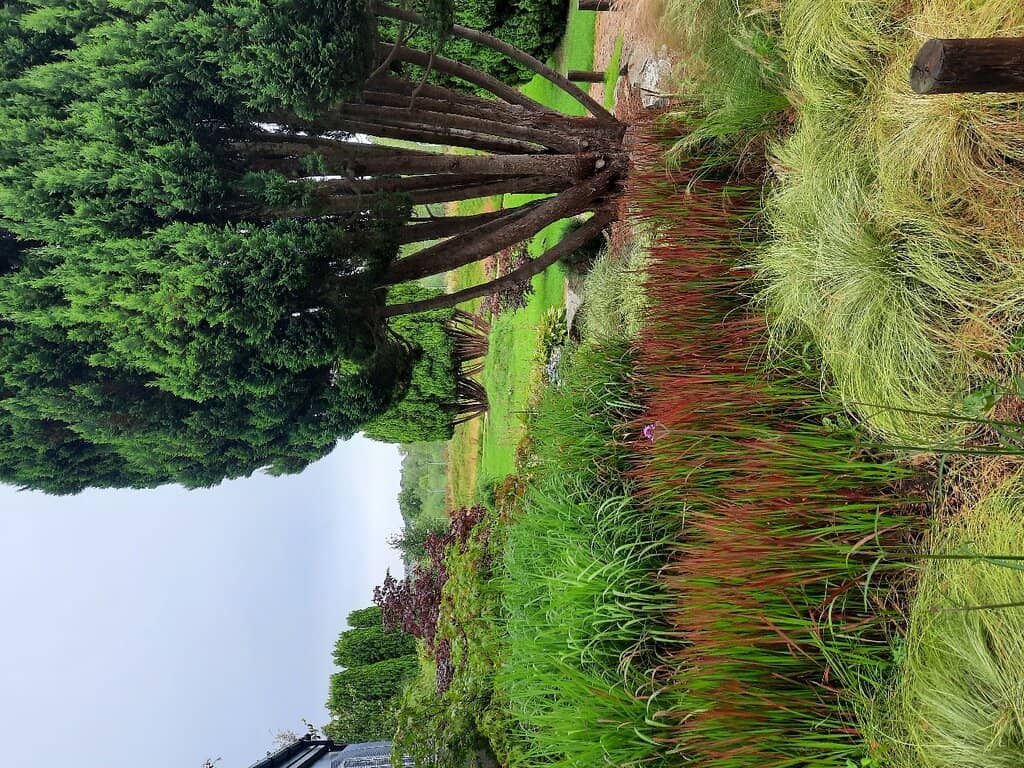 Peaceful Reflection Spots