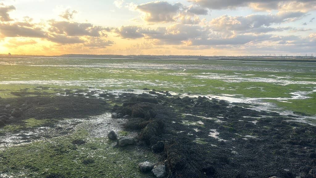 Children's Play Area