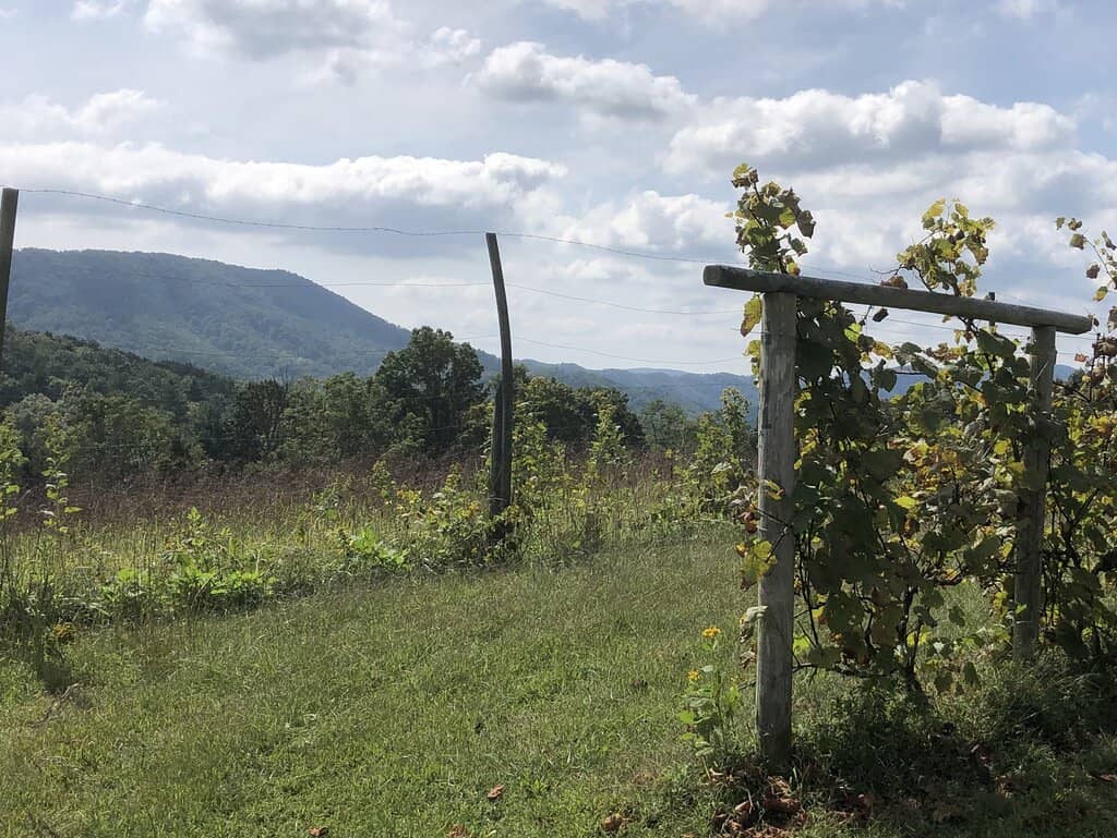 Gourmet Pizza & Charcuterie