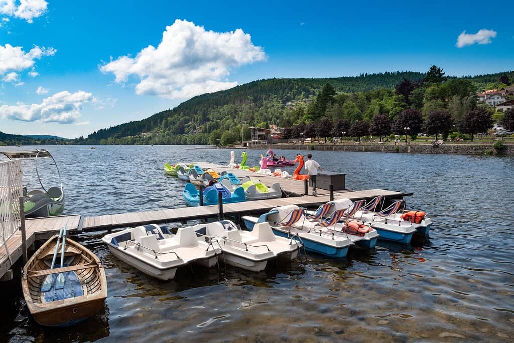 Boat Rentals & Tours