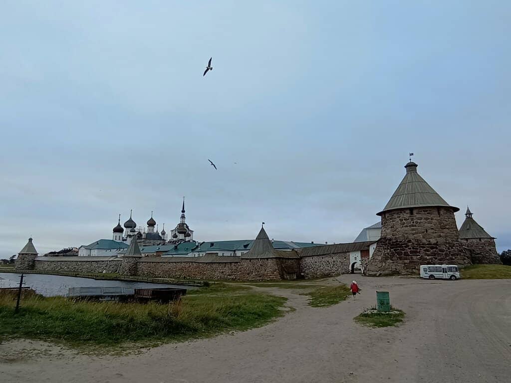 Horses on the Grounds