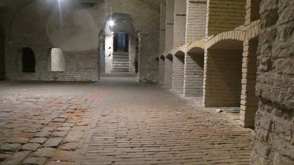 Guided Tour Insights