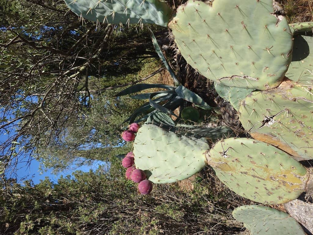 Architectural Grandeur