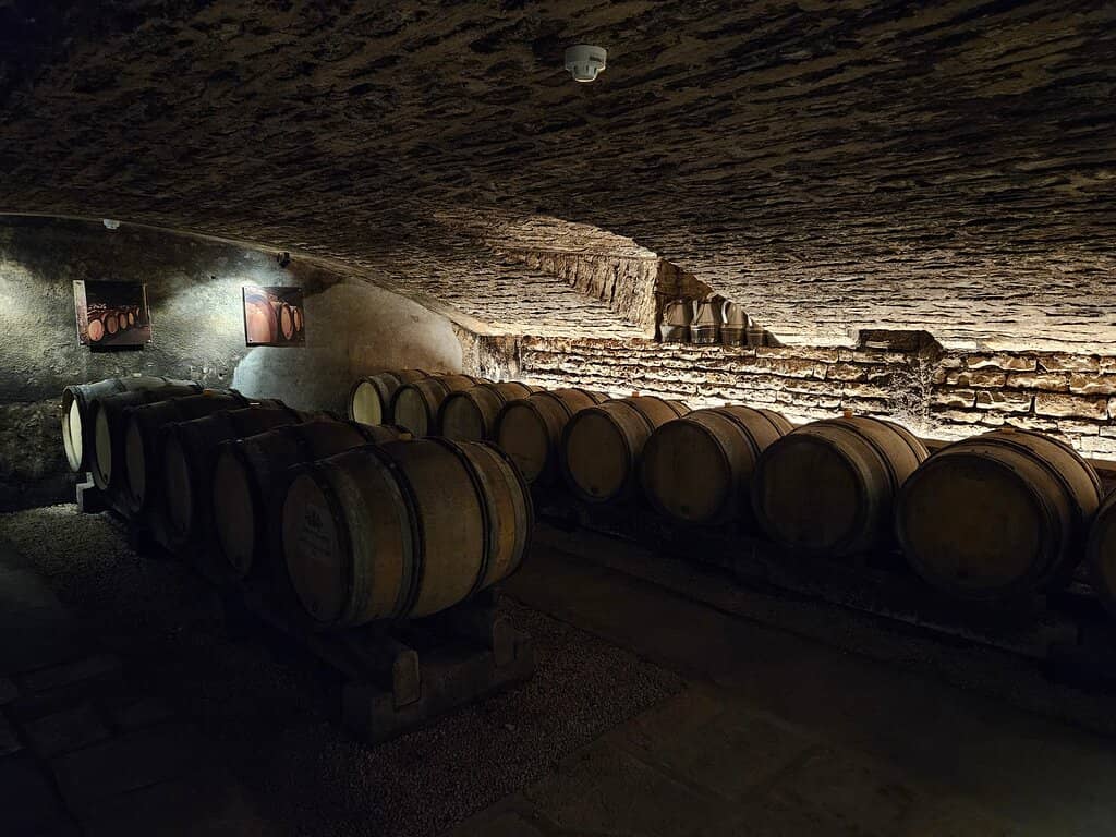 Burgundy Wine Tasting