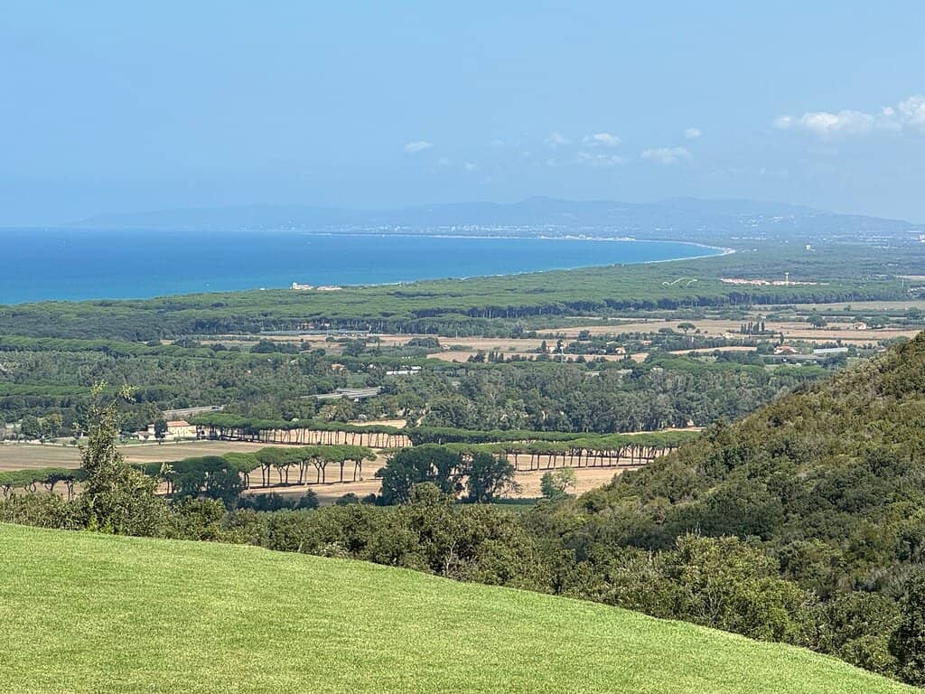Cabernet Franc Focus