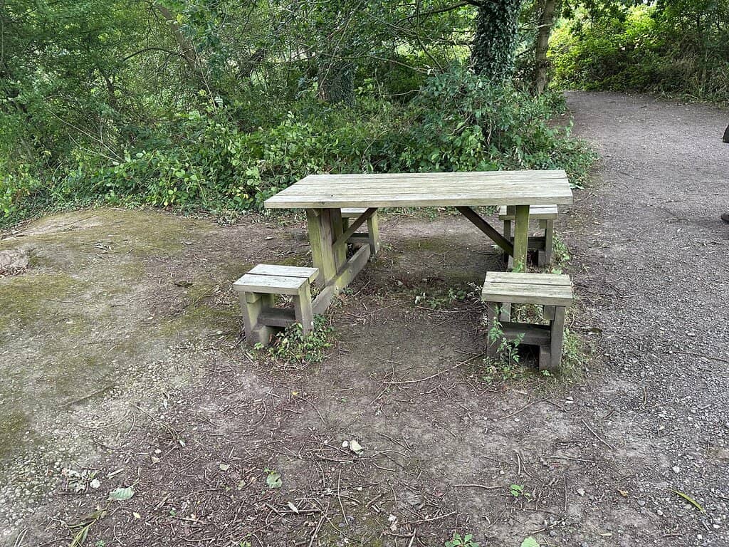 Avocet & Spoonbill Haven