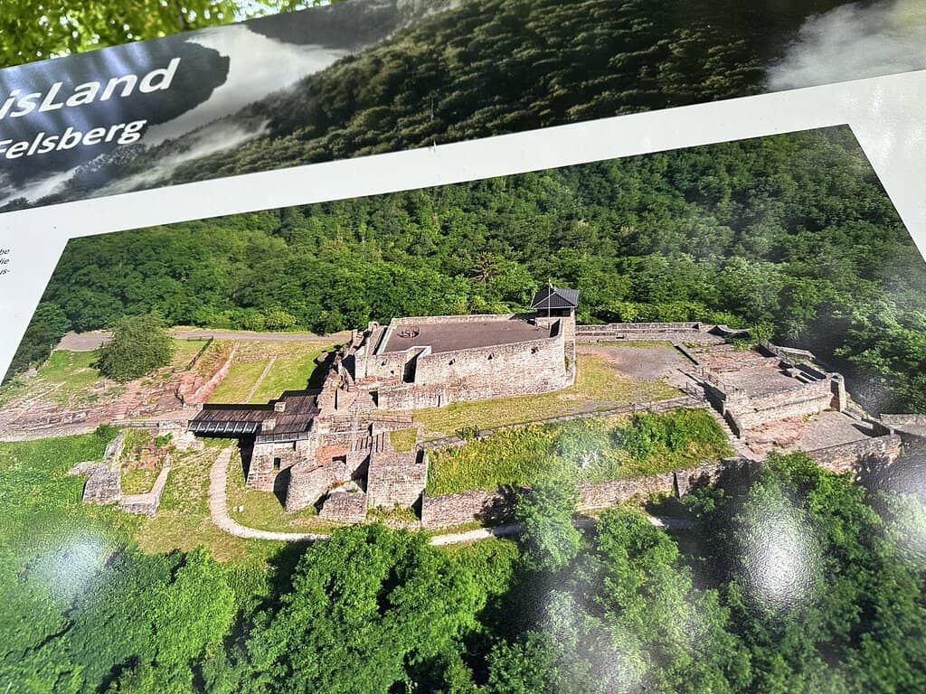 Family-Friendly Picnic Spot