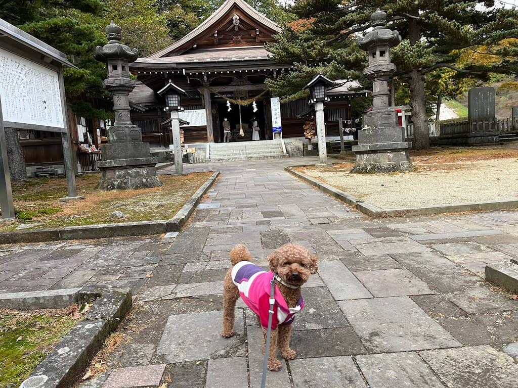 Nasu Onsen Foot Bath