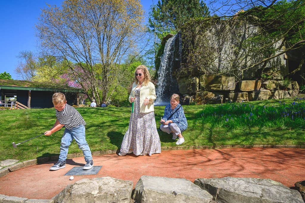 The Castle and its History