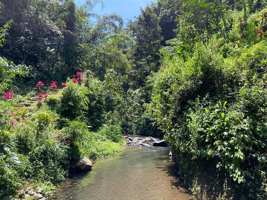 The Majestic Third Cascade