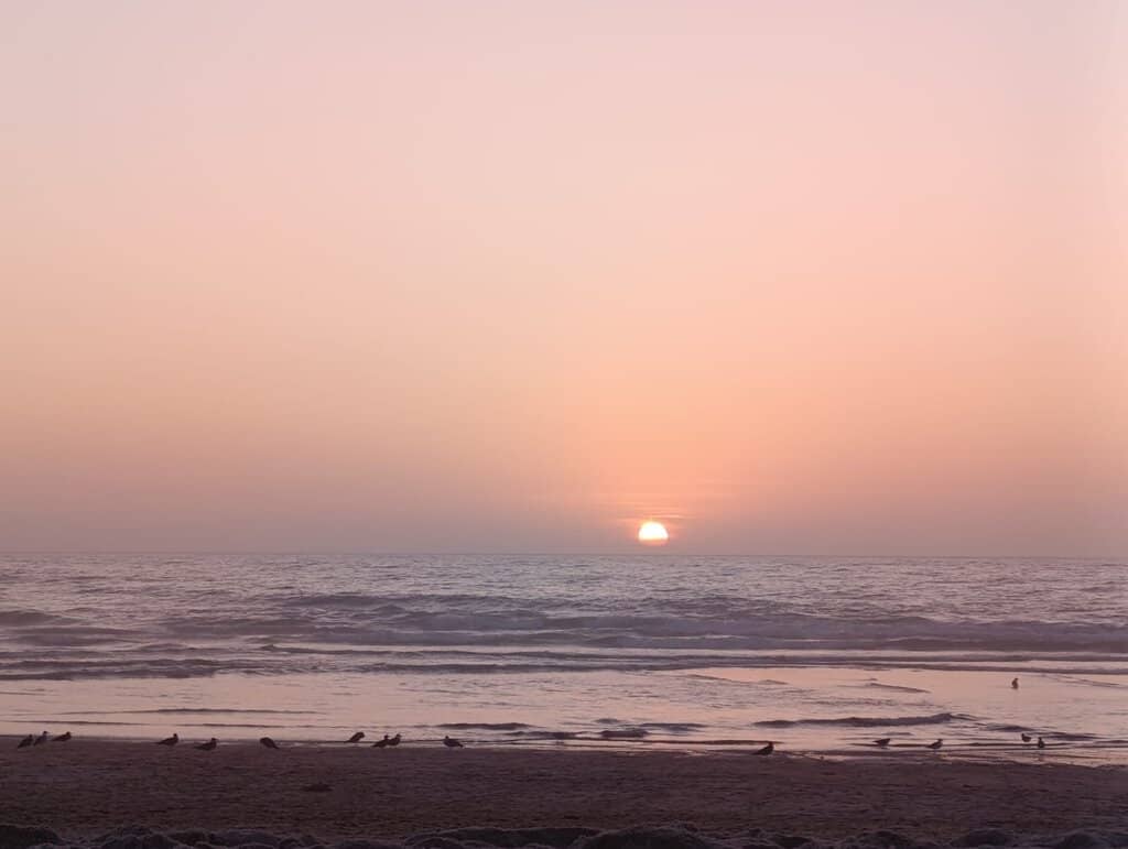 Surfer's Dream Waves