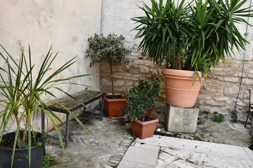 Architectural Beauty